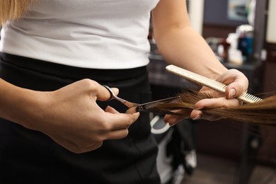 Professional hairdresser cutting woman's hair in salon, closeup