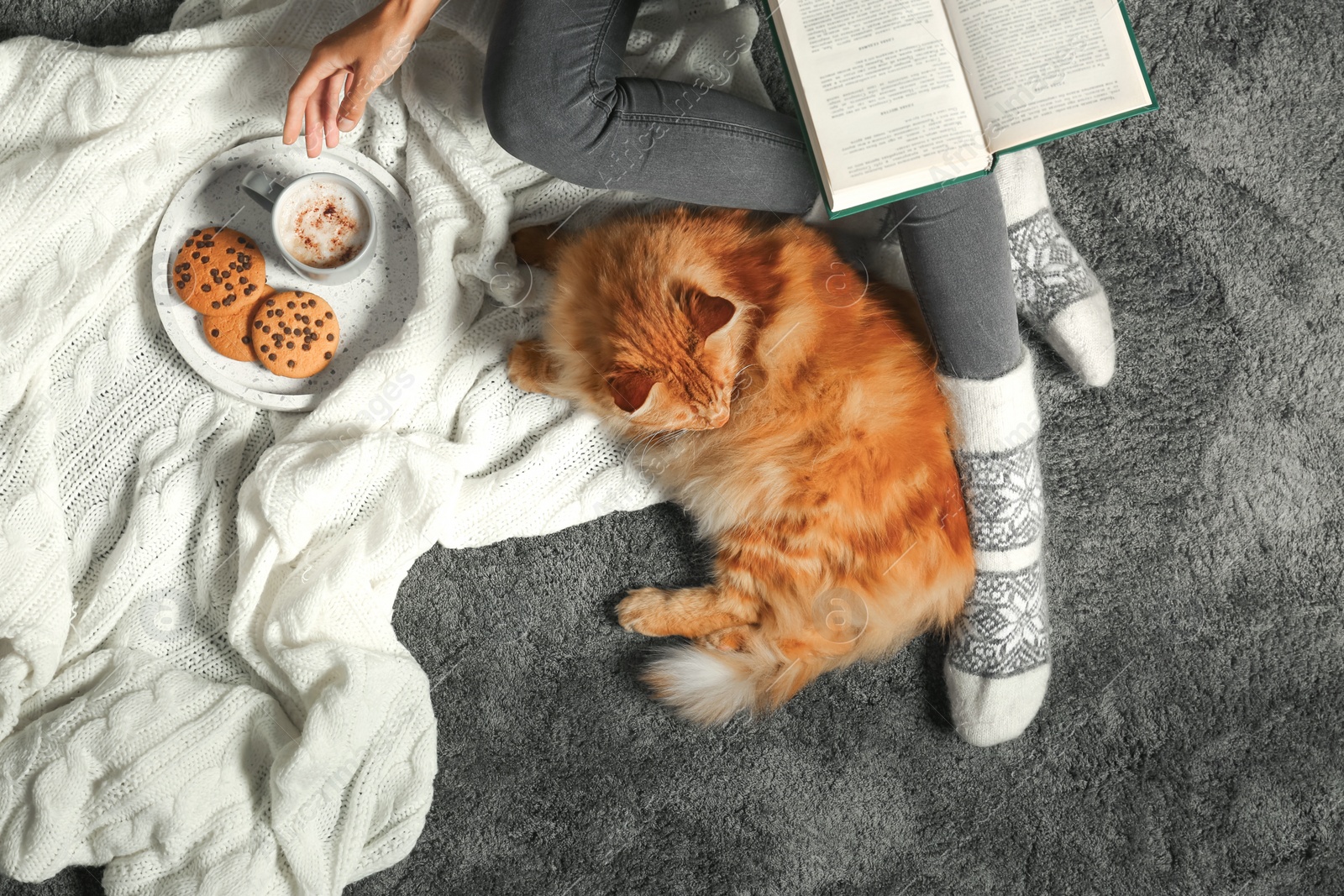 Photo of Woman with cute red cat and book on grey carpet, top view