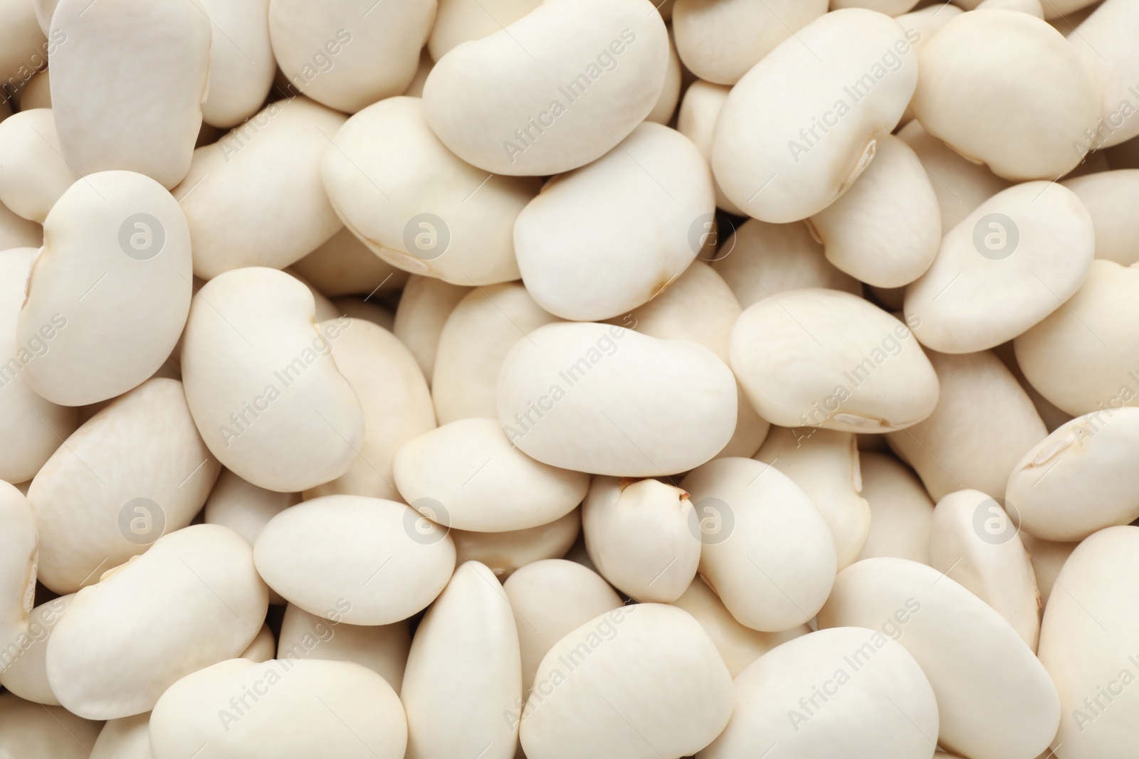Photo of Pile of uncooked white beans as background, closeup