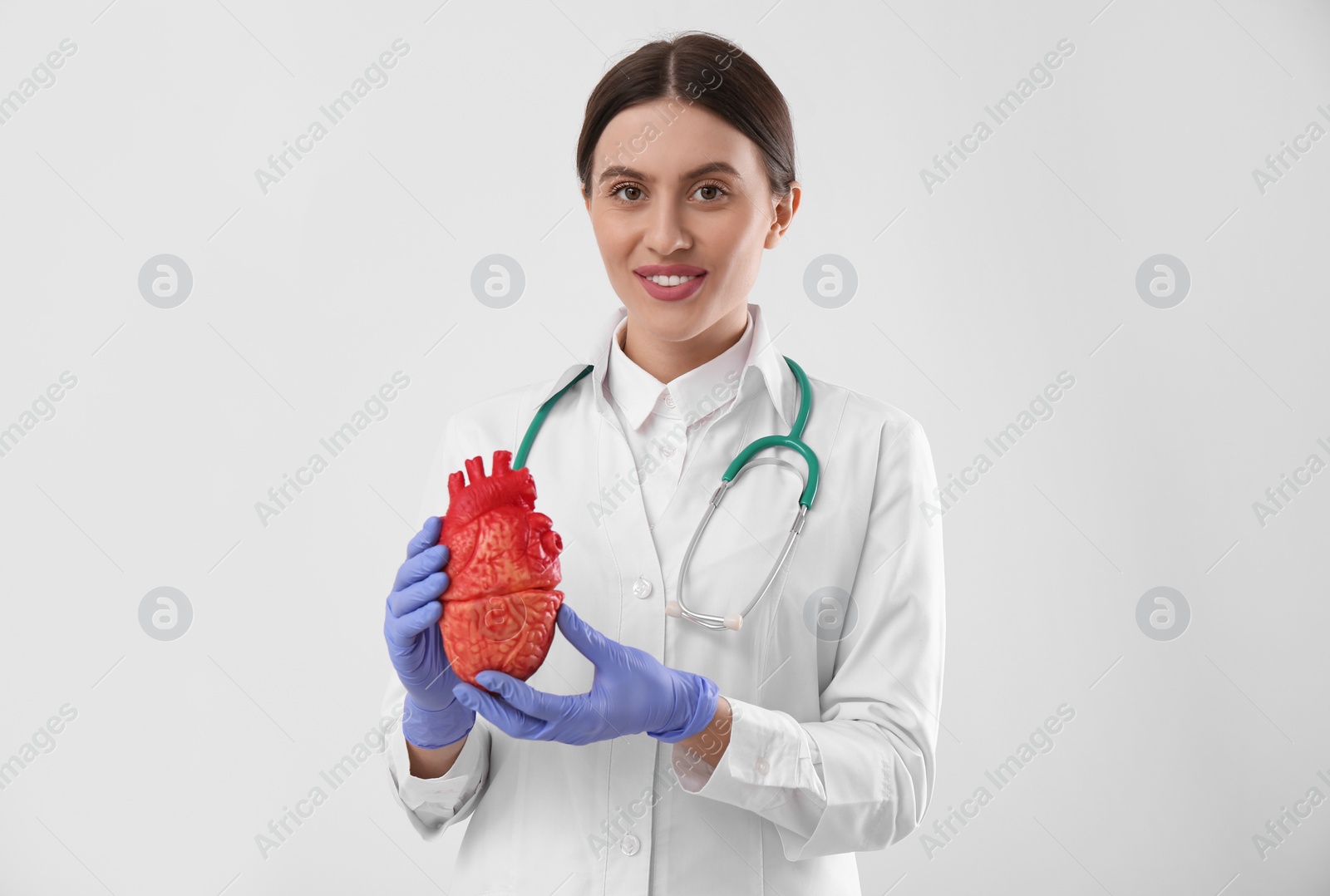 Photo of Doctor with stethoscope and model of heart on white background. Cardiology concept