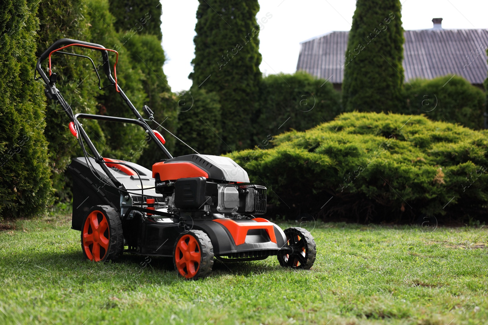 Photo of Modern lawn mower on green grass in garden