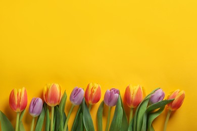 Many beautiful tulips on yellow background, flat lay. Space for text