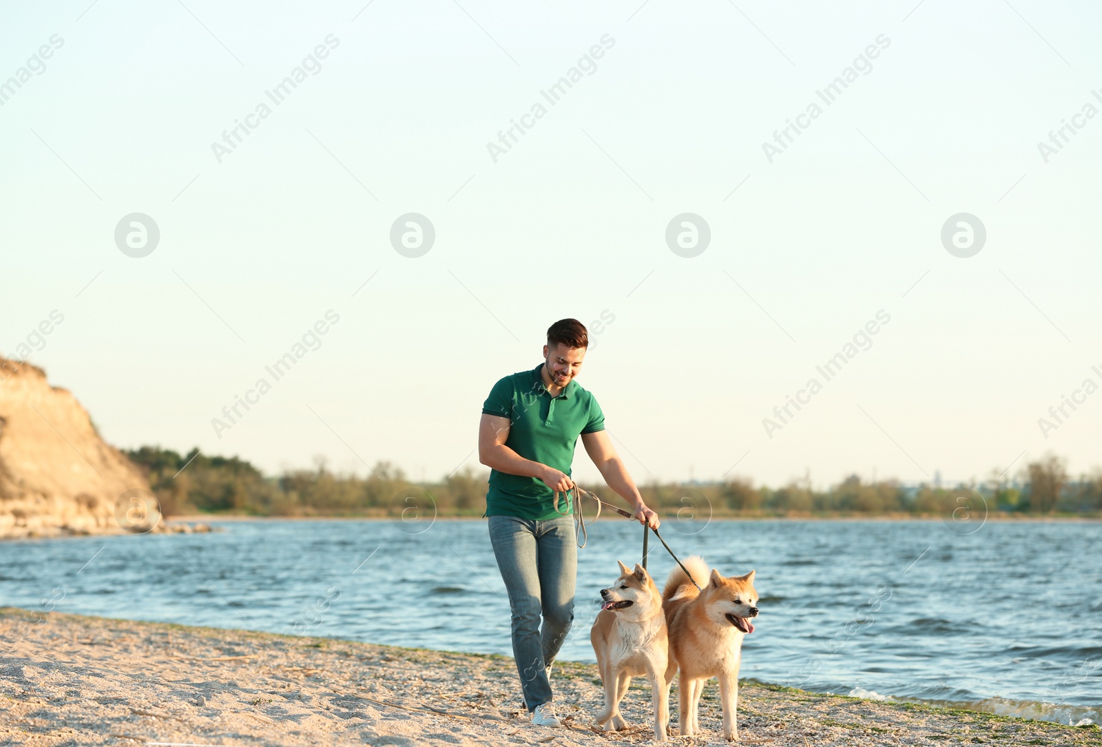 Photo of Young man walking his adorable Akita Inu dogs near river