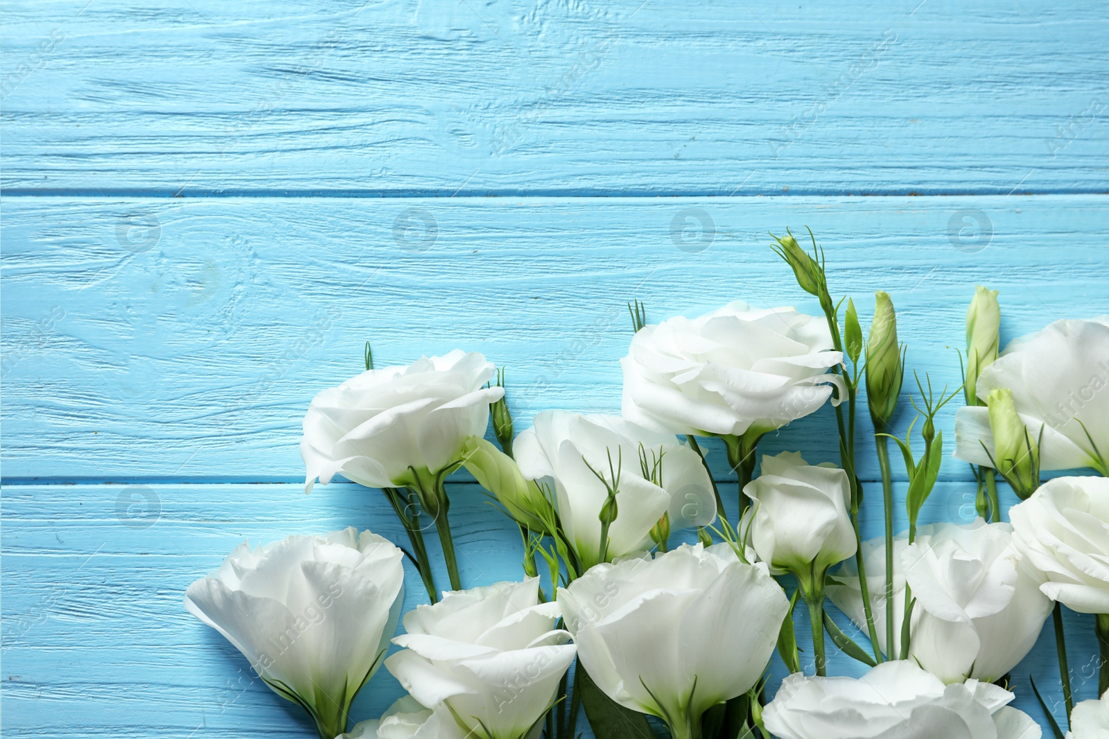 Photo of Flat lay composition with beautiful Eustoma flowers on wooden background