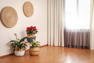 Beautiful plants in wicker pots near white wall indoors. Interior design idea