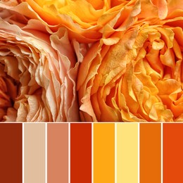 Palette of autumn colors and beautiful flowers as background, closeup