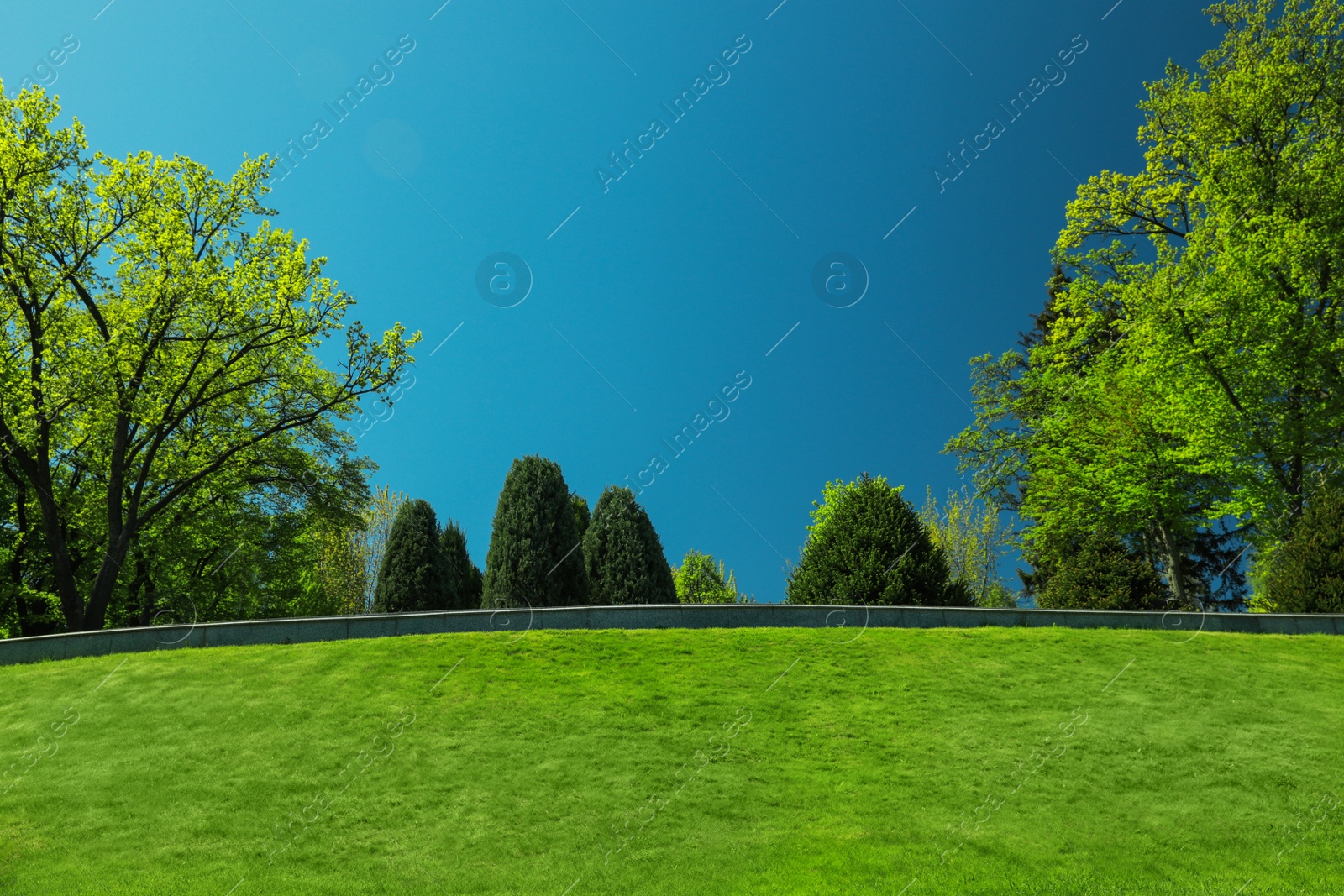 Photo of Beautiful view of landscape with fresh green grass and trees outdoors