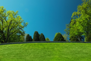 Beautiful view of landscape with fresh green grass and trees outdoors