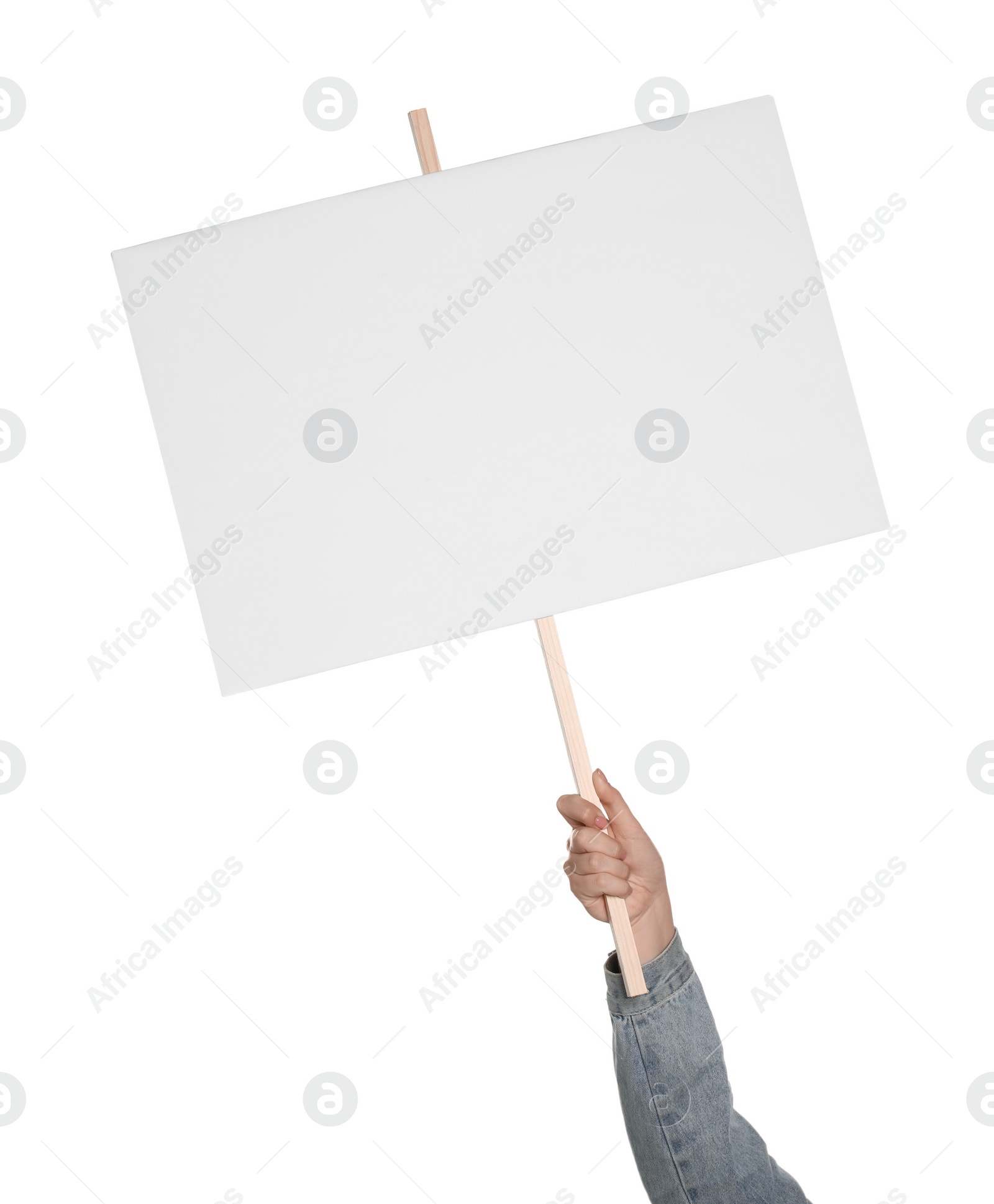 Photo of Woman holding blank protest sign on white background, closeup