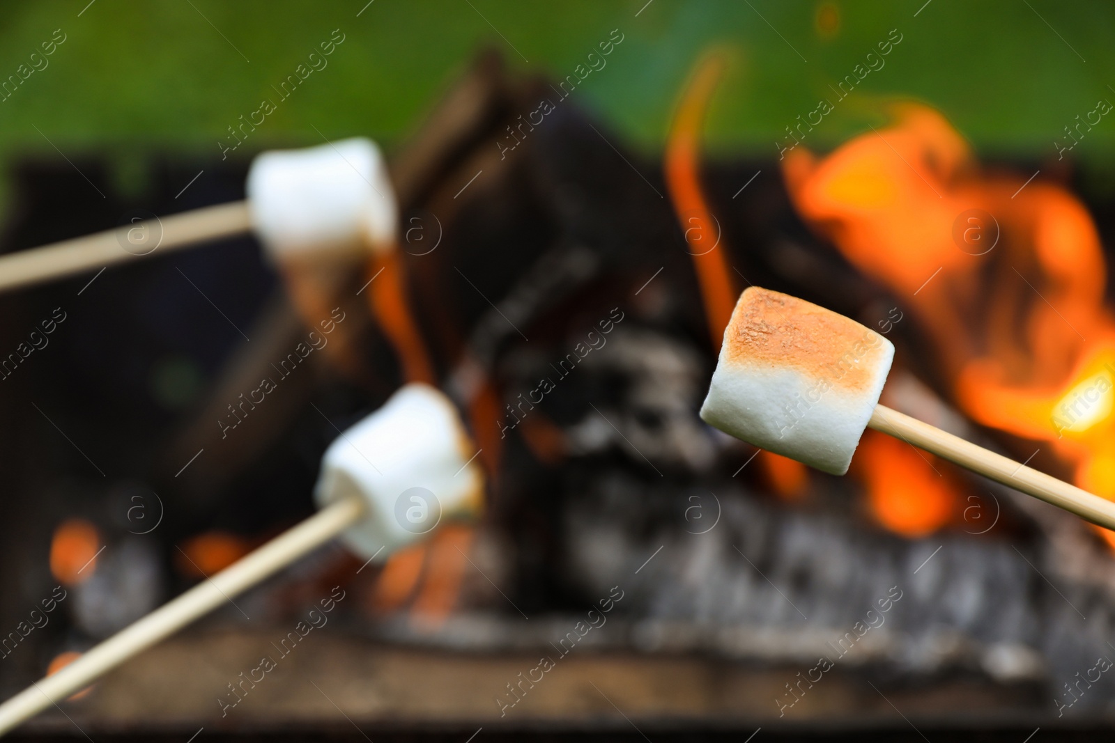 Photo of Delicious puffy marshmallows roasting over bonfire, closeup. Space for text