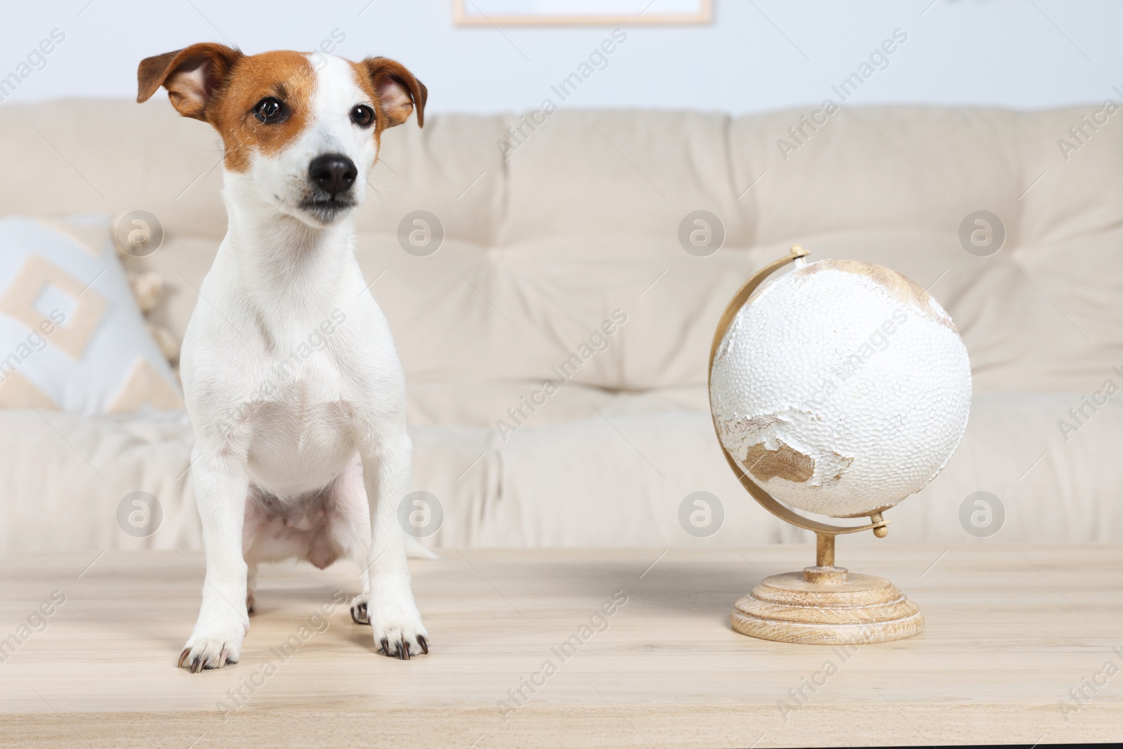 Photo of Cute dog and globe on wooden table at home. Travel with pet concept