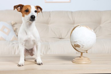 Cute dog and globe on wooden table at home. Travel with pet concept