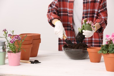 Transplanting houseplants. Woman with gardening tools, flowers and empty pots at white table indoors, closeup