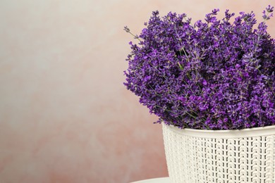 Beautiful lavender flowers in plastic basket against pink background, closeup. Space for text
