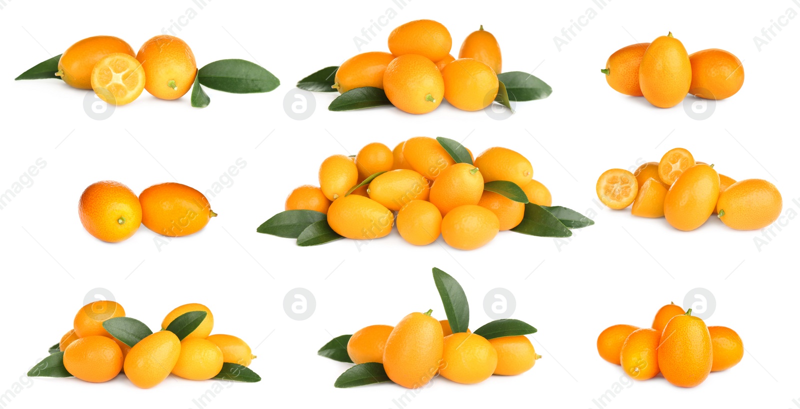 Image of Set with fresh ripe kumquat fruits on white background. Banner design