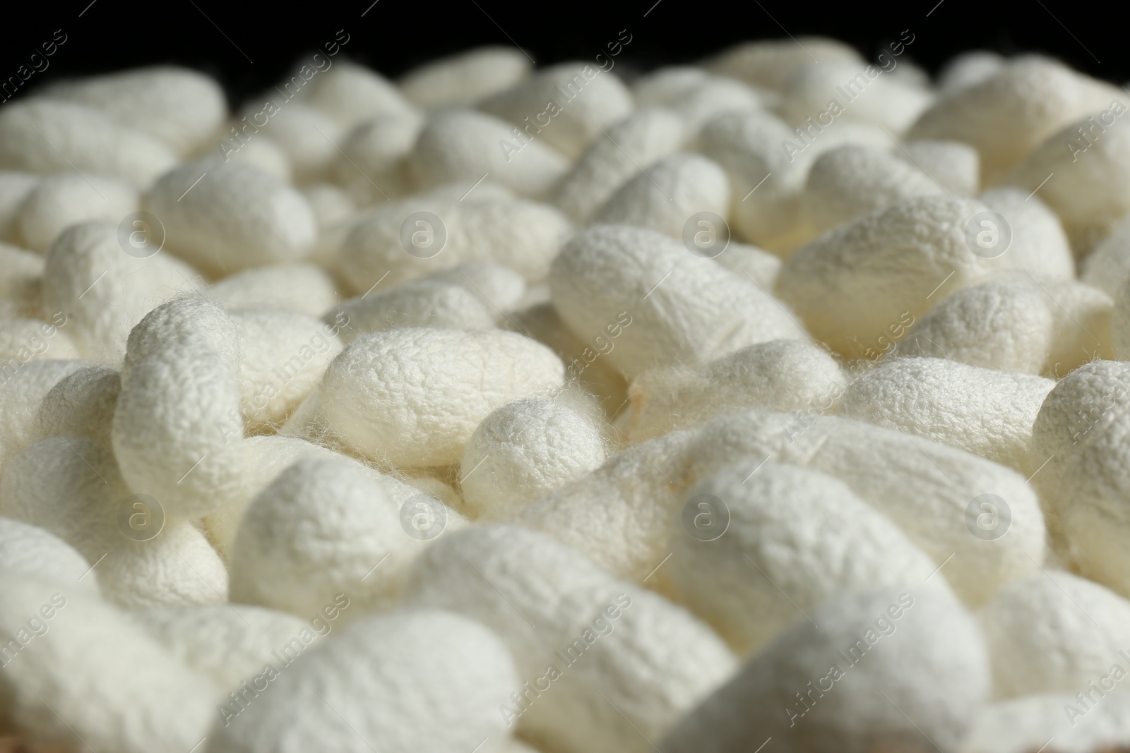 Photo of Heap of white silk cocoons, closeup view