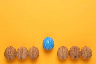 Photo of Blue walnut among others on yellow background, flat lay. Space for text