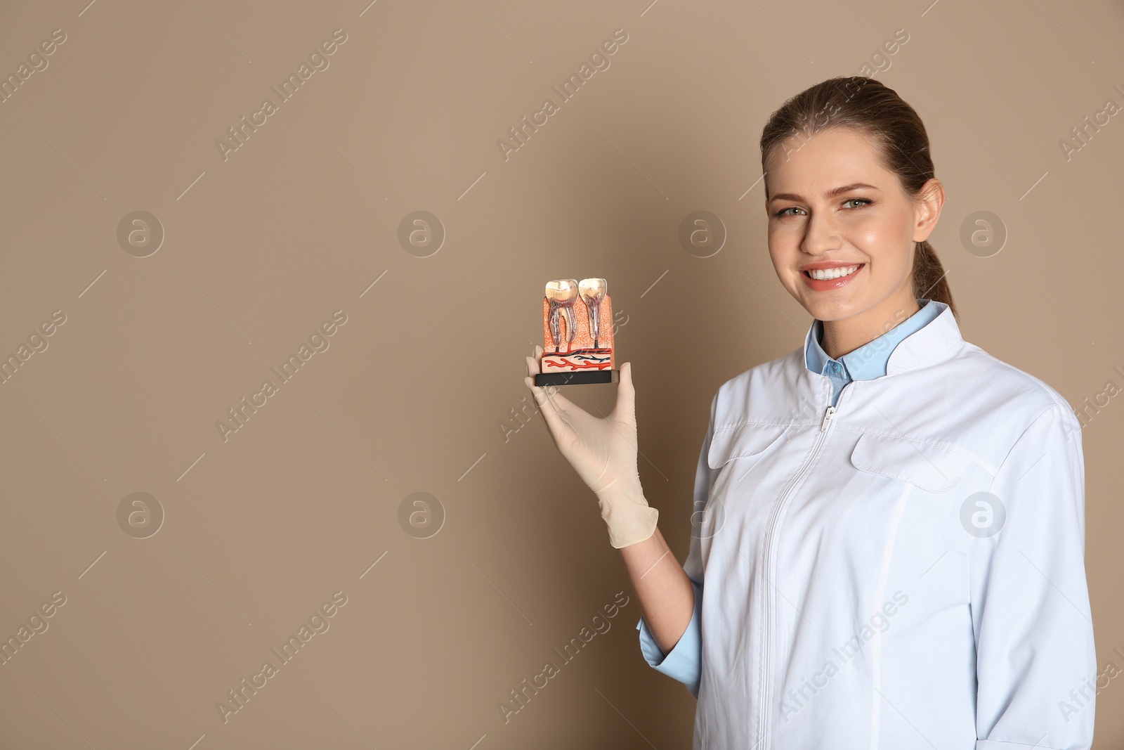 Photo of Female dentist holding teeth model on color background. Space for text