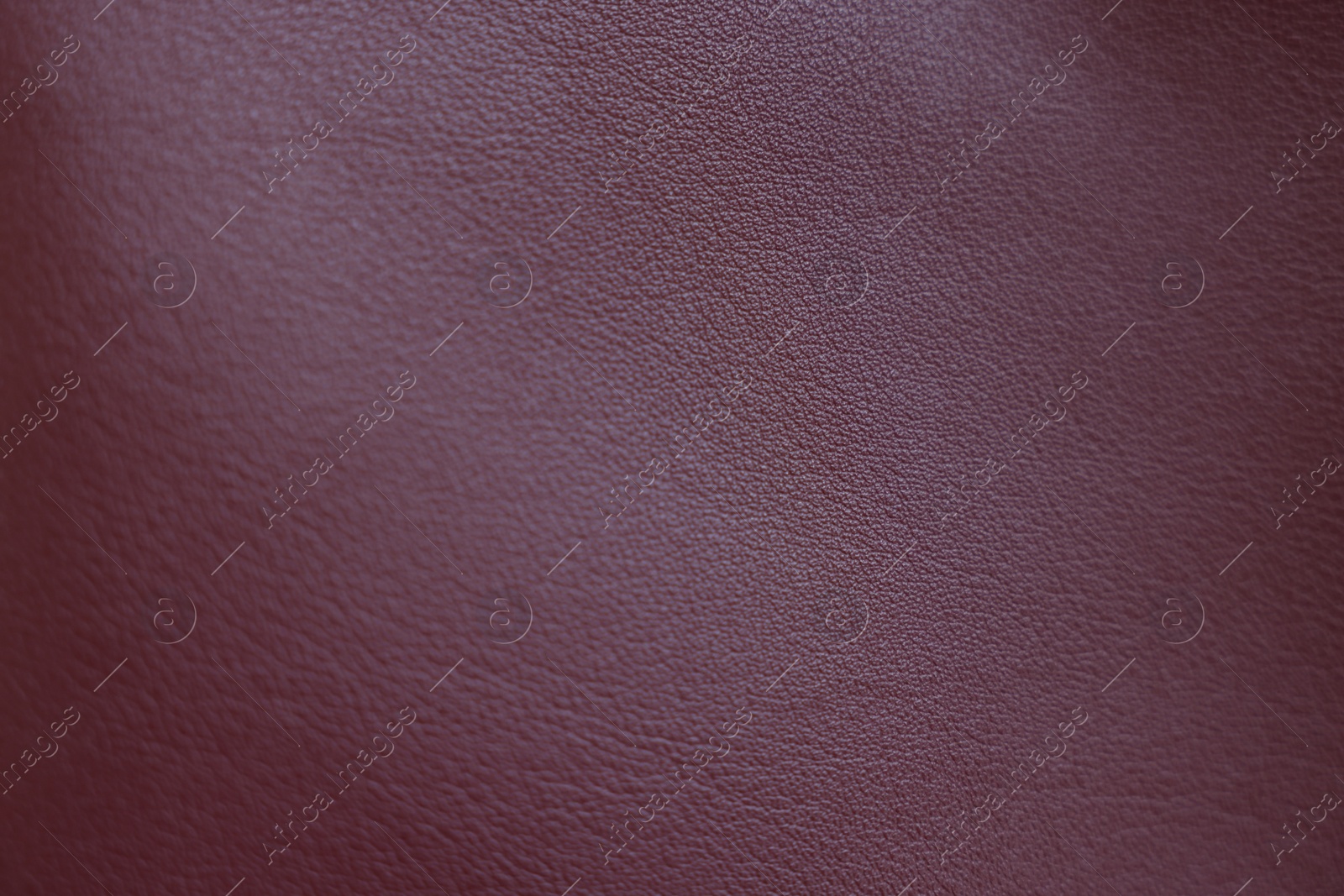 Photo of Texture of leather as background, closeup view