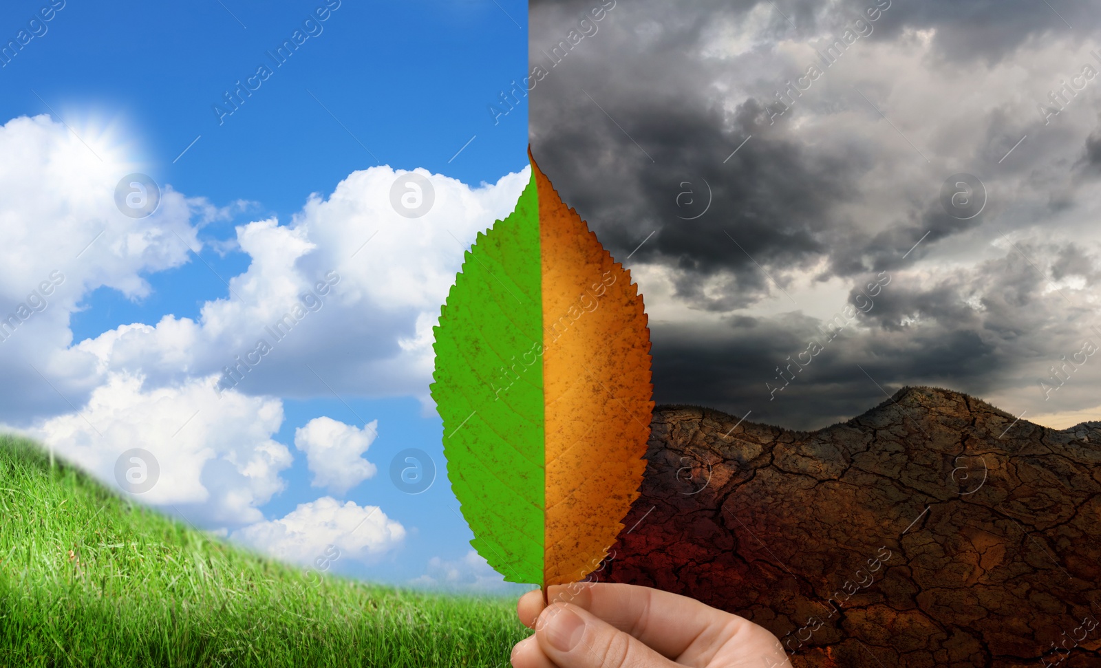 Image of Woman holding half dead and alive leaf outdoors. Conceptual photo depicting Earth destroyed by environmental pollution