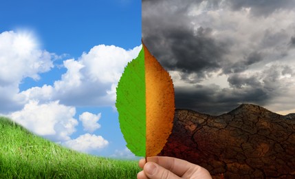 Woman holding half dead and alive leaf outdoors. Conceptual photo depicting Earth destroyed by environmental pollution