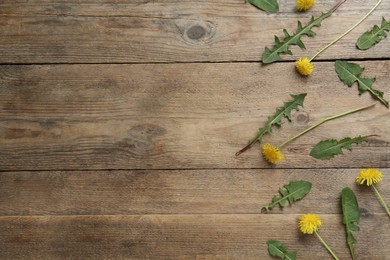 Flat lay composition with beautiful yellow dandelions on wooden table. Space for text