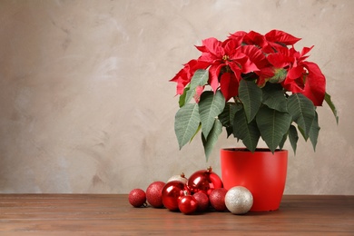 Photo of Pot with poinsettia (traditional Christmas flower) and decor on table against color background. Space for text