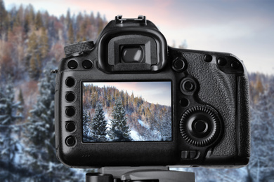 Recording beautiful view of snowy forest on professional video camera