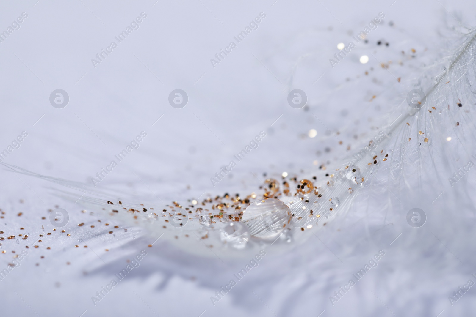 Photo of Closeup view of beautiful feather with dew drops and glitter on white background