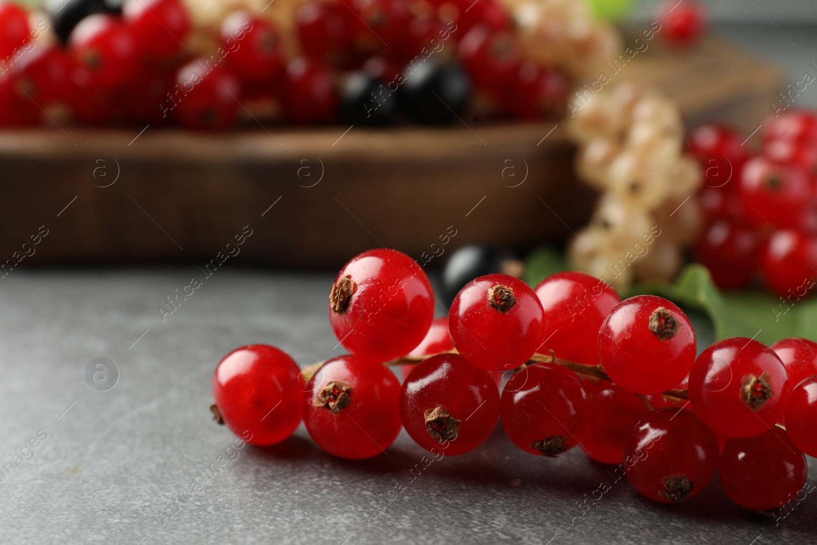 Photo of Fresh ripe red currants on light grey table, closeup. Space for text