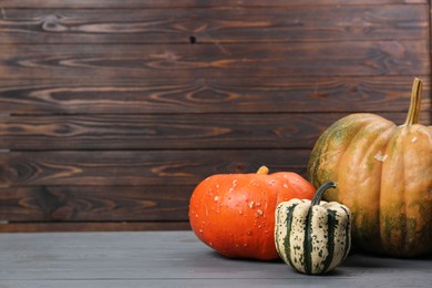 Photo of Happy Thanksgiving day. Many different pumpkins on grey wooden table, space for text