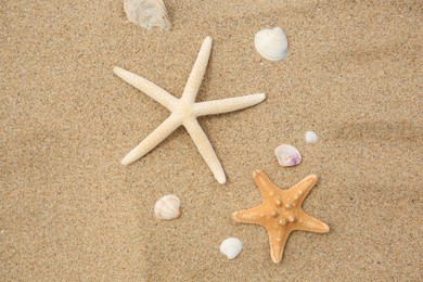 Photo of Beautiful starfishes and seashells on sand, flat lay