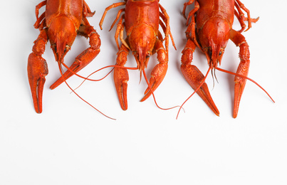 Delicious boiled crayfishes isolated on white, top view