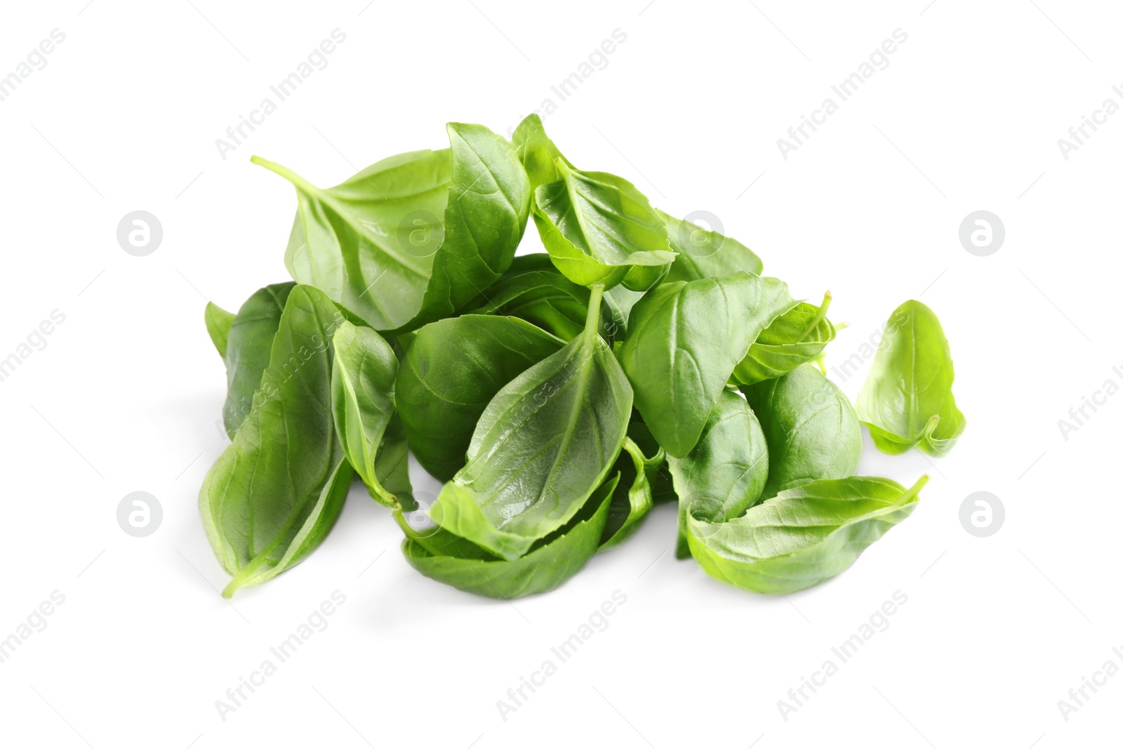 Photo of Pile of fresh basil leaves isolated on white