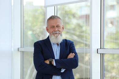 Portrait of handsome mature man in elegant suit near window