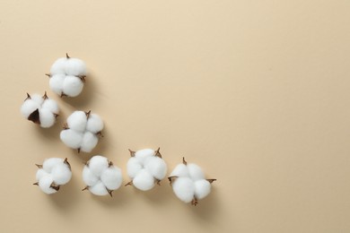 Photo of Fluffy cotton flowers on beige background, flat lay. Space for text