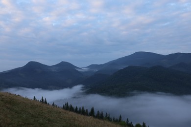Picturesque view of mountains and forest covered with fog