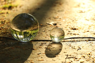 Beautiful forest with green trees, overturned reflection. Crystal balls on ground outdoors