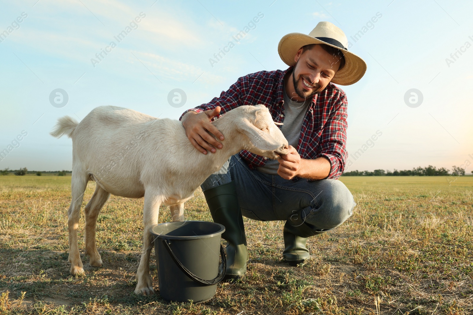 Photo of Man feeding goat at farm. Animal husbandry