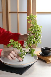 Stylish ikebana as house decor. Woman creating floral composition with fresh branch at white table, closeup