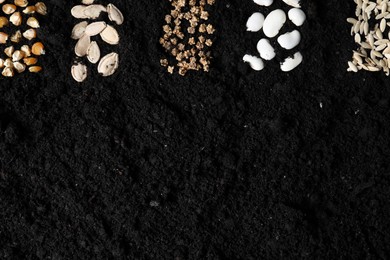 Photo of Different vegetable seeds on fertile soil, flat lay. Space for text