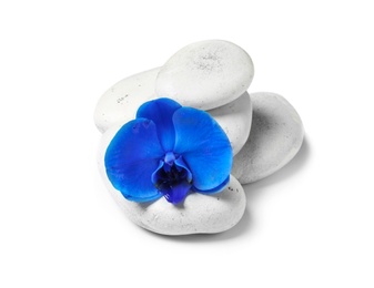 Spa stones with orchid flower on white background