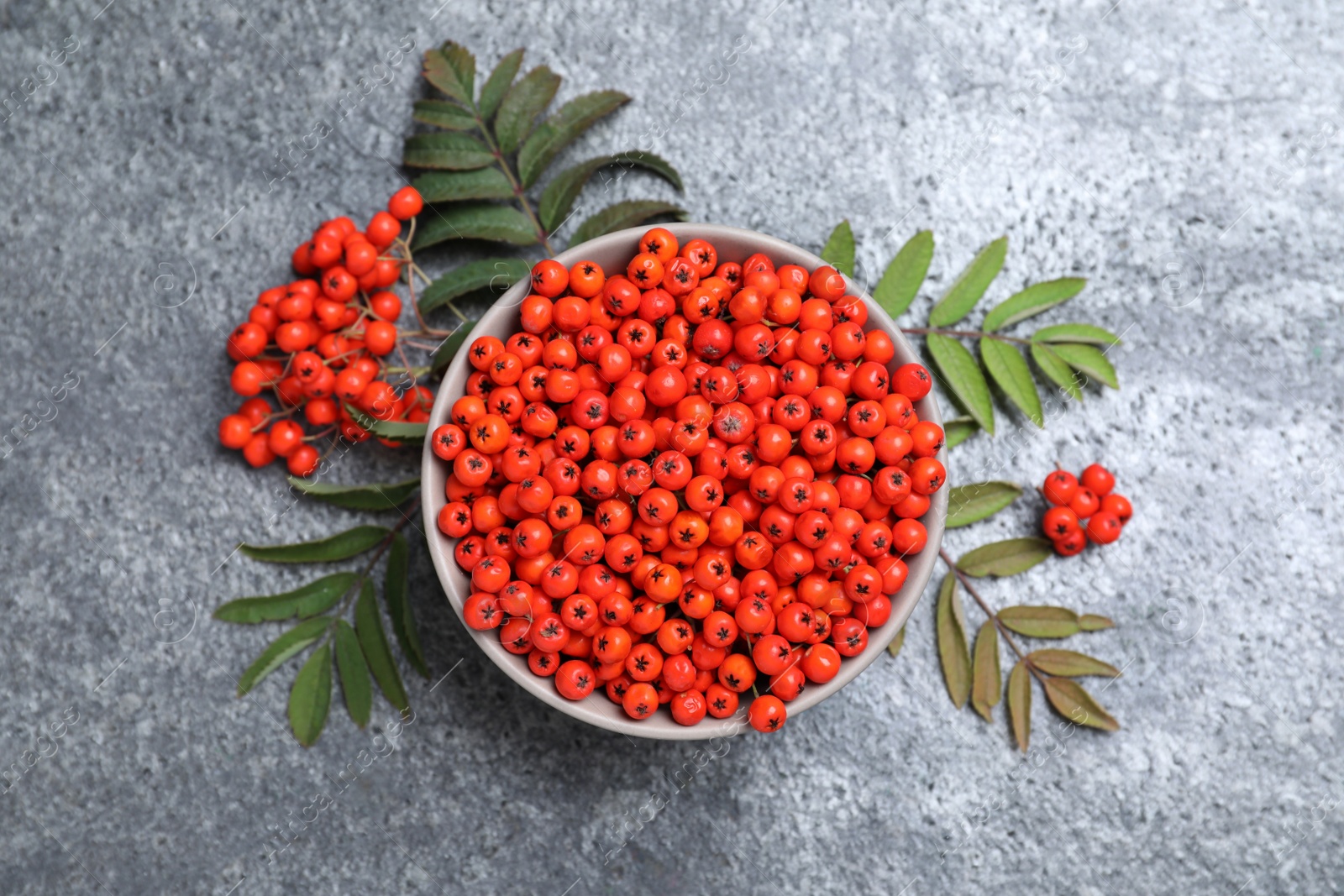 Photo of Fresh ripe rowan berries and leaves on grey table, flat lay