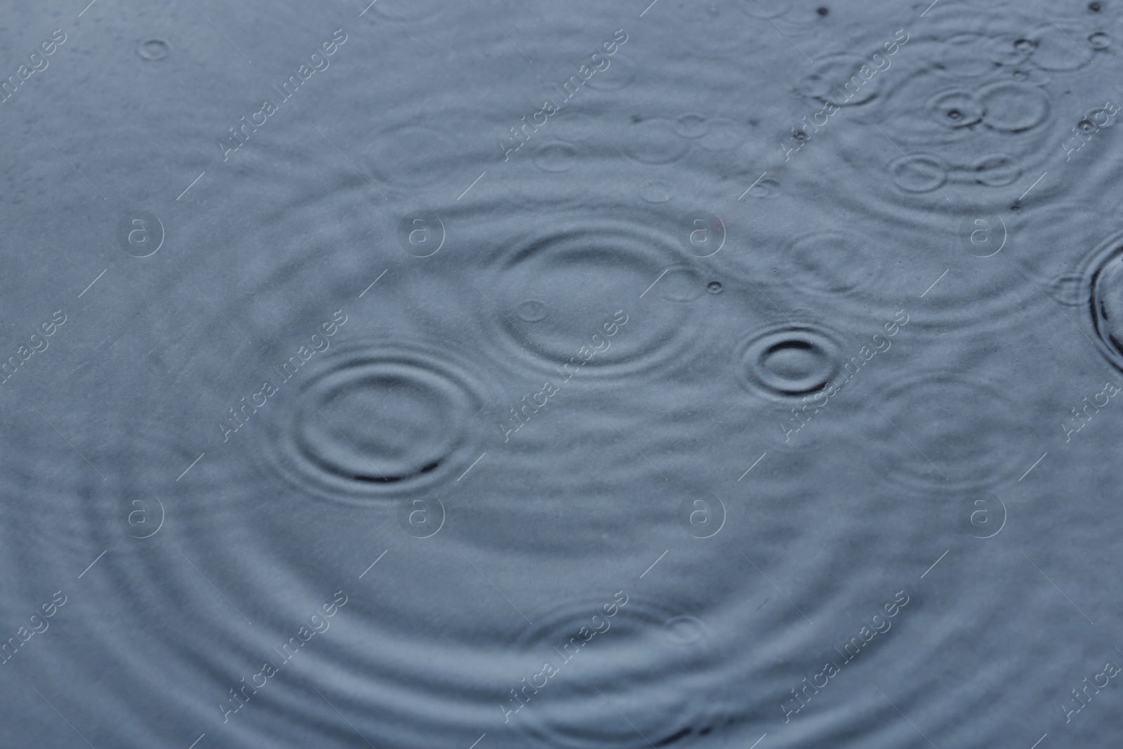 Photo of Rain drops falling down into puddle outdoors