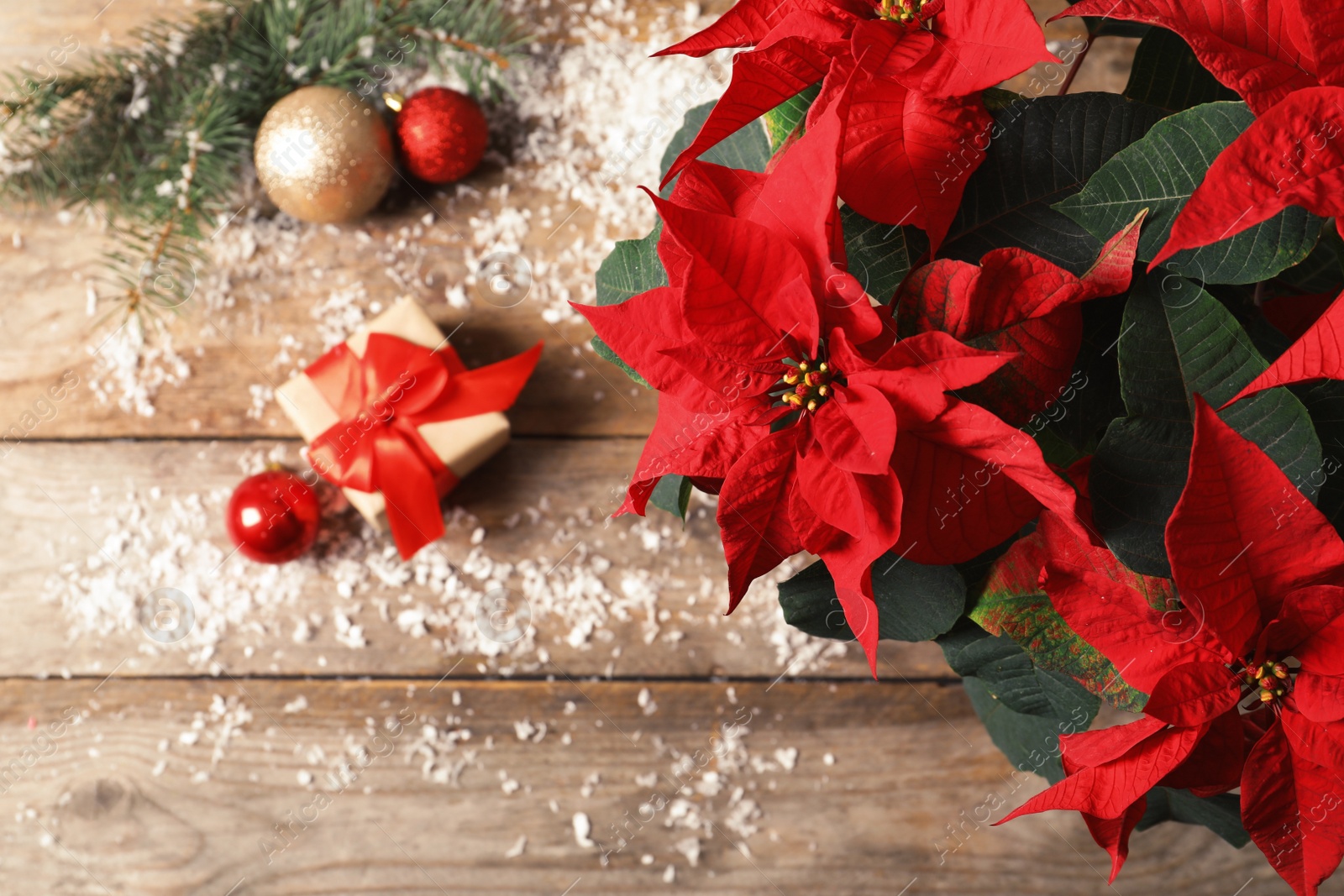 Photo of Poinsettia (traditional Christmas flower) with decor and gift on wooden table, top view