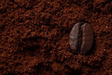 Photo of Roasted bean on ground coffee, top view. Space for text