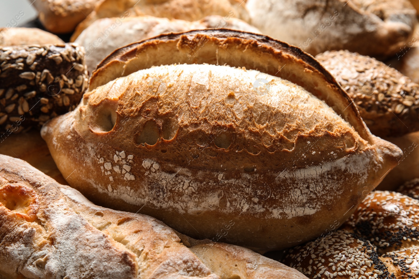 Photo of Different kinds of fresh bread as background, closeup