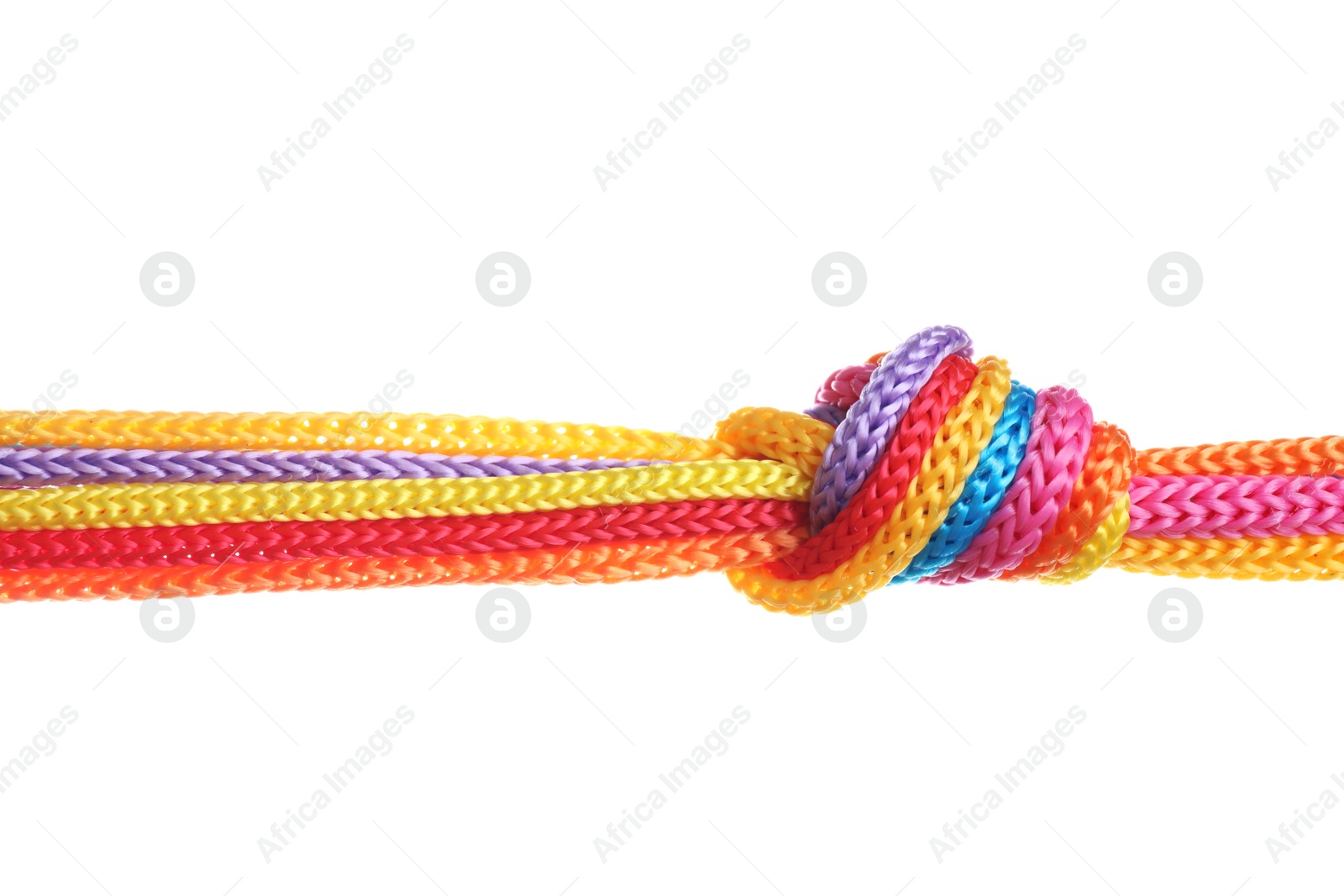 Photo of Colorful ropes tied together with knot isolated on white. Unity concept