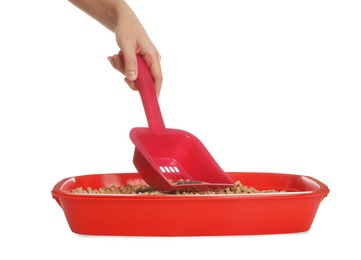 Woman cleaning cat litter tray on white background, closeup