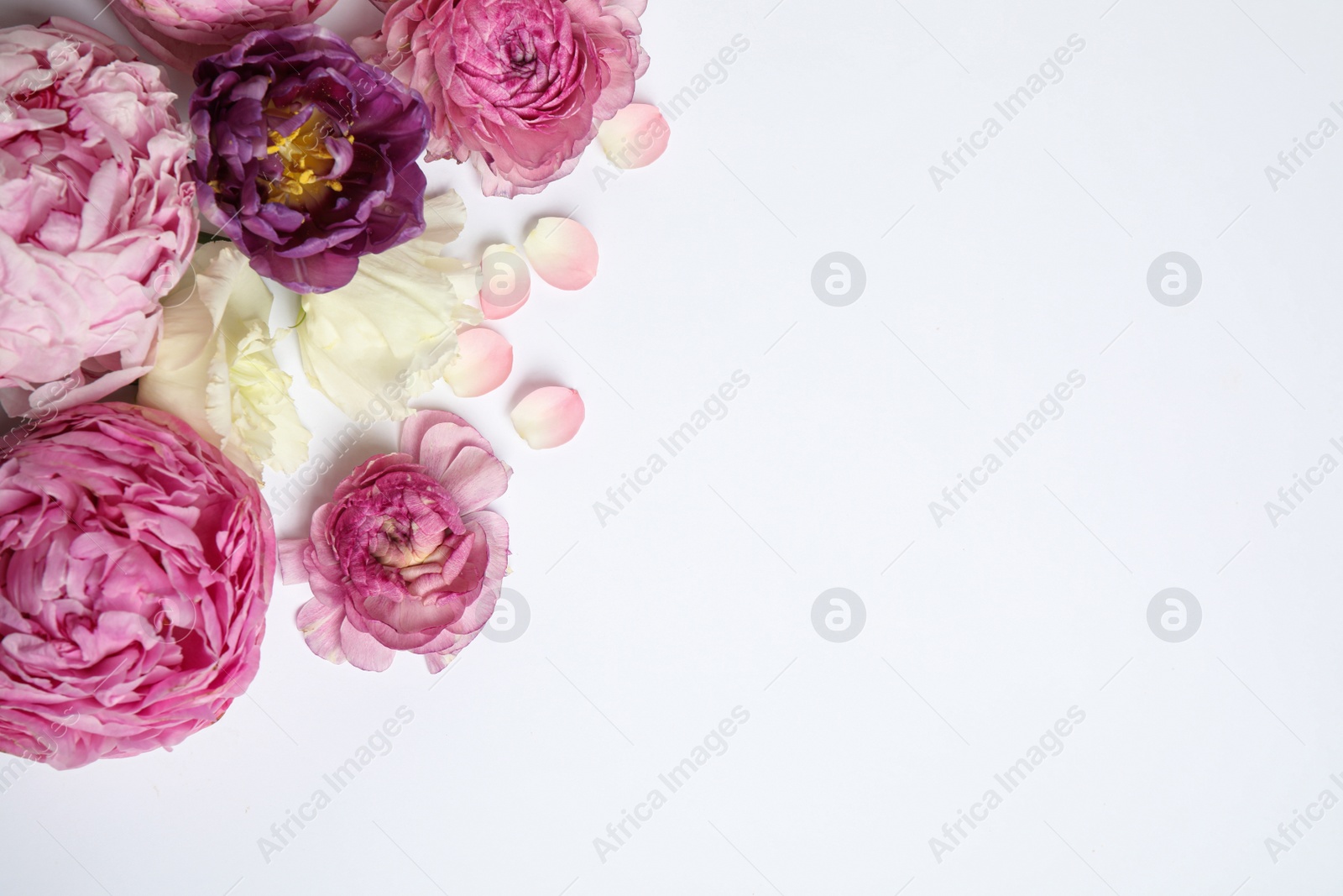 Photo of Composition with beautiful flowers on white background, top view. Floral card design